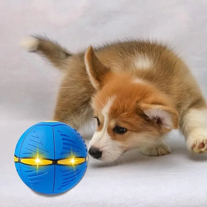 🐶Disco salty salty + Envío gratis🛵 📦