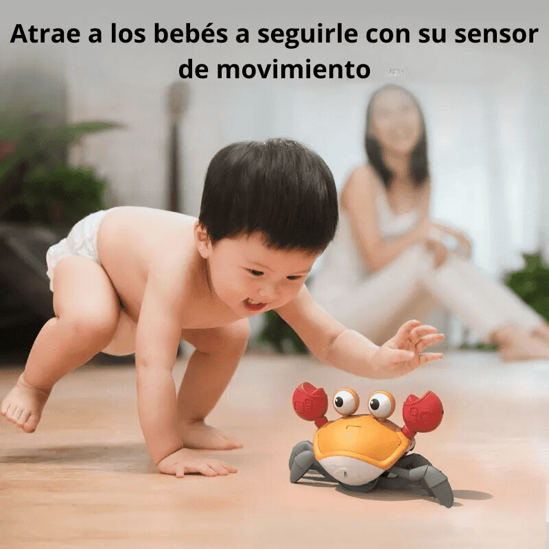 🦀🌟Cangrejo  Estimulante  Gateador +🍼 Envio Gratis👶