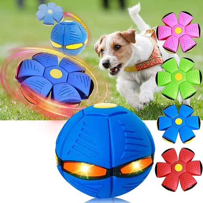 🐶Disco salty salty + Envío gratis🛵 📦