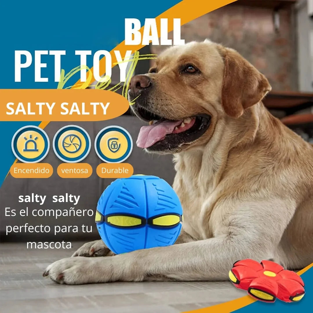 🐶Disco salty salty + Envío gratis🛵 📦