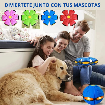 🐶Disco salty salty + Envío gratis🛵 📦