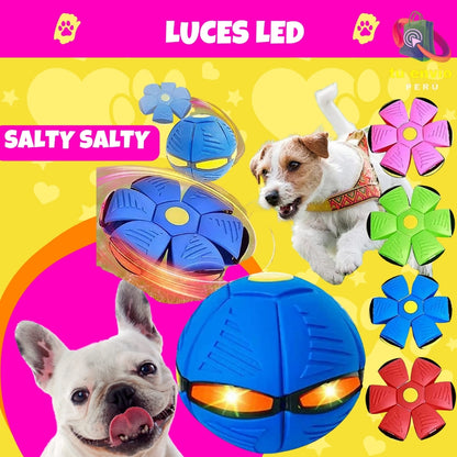 🐾Disco salty salty + Envio Gratis🛵🏡