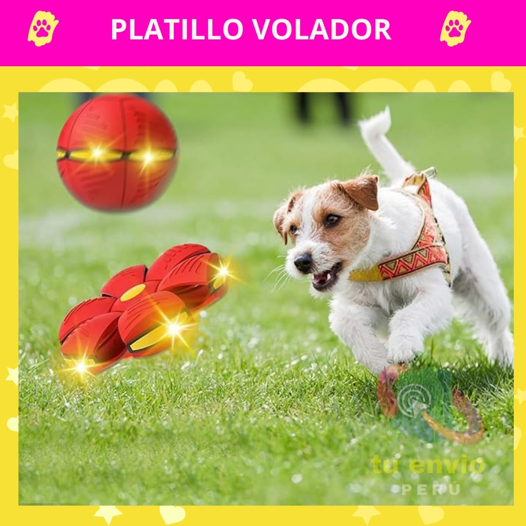 🐾Disco salty salty + Envio Gratis🛵🏡