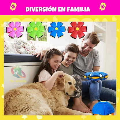 🐾Disco salty salty + Envio Gratis🛵🏡