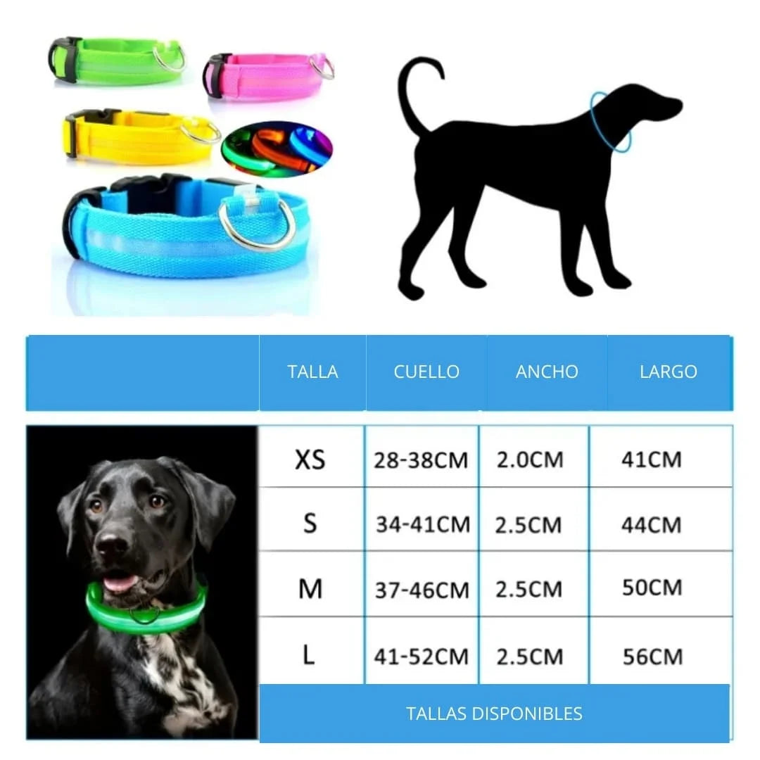 🐾COLLAR LED USB ANTIPERDIDA 🚨🐕+ ENVIO GRATIS🚚🆓😎