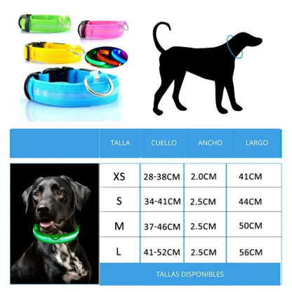 🐾COLLAR LED USB ANTIPERDIDA 🚨🐕+ ENVIO GRATIS🚚🆓😎