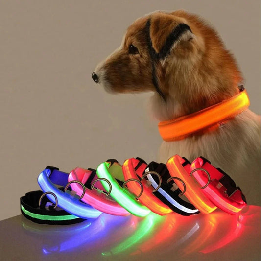 🐾COLLAR LED USB ANTIPERDIDA 🚨🐕+ ENVIO GRATIS🚚🆓😎
