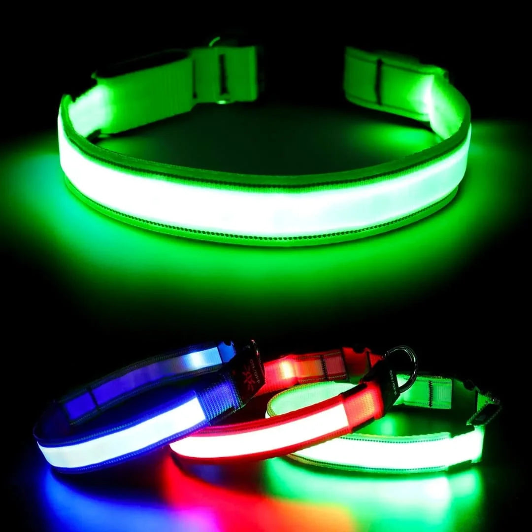 🐾COLLAR LED USB ANTIPERDIDA 🚨🐕+ ENVIO GRATIS🚚🆓😎