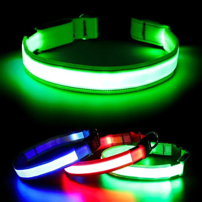 🐾COLLAR LED USB ANTIPERDIDA 🚨🐕+ ENVIO GRATIS🚚🆓😎