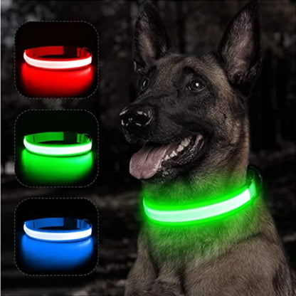 🐾COLLAR LED USB ANTIPERDIDA 🚨🐕+ ENVIO GRATIS🚚🆓😎